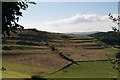 Strip lynchets on Knowl Hill in DT6 4NW