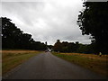 Richmond Park - Road to Ham Gate Entrance in KT2 5QF