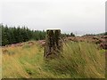 Trig point on Finbracken Hill 198m above Sandbank in PA23 8PD