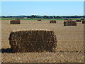 Baled straw off Cuckoo Road, Barroway Drove in PE34 3NY