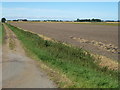 Track and farmland near Thrower's Farm in PE38 0BE