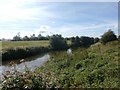 The River Dearne seen from the Trans Pennine Trail in DN5 7TF