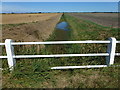 Downham Fen Drain viewed from Lady Drove in PE38 0AG