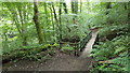 Footbridge in Kepier wood in DH1 1SE