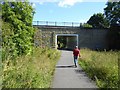 Bridge over the Consett and Sunderland Railway Path in DH2 2HR