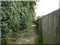 Alleyway behind houses giving garden access in BN41 2AB