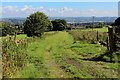 Grassy Track descending towards Clayton in BD14 6PJ
