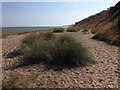 Pakefield beach and cliffs in NR33 7BJ