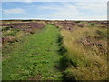 Grass  track  over  Stony  Marl  Moor in YO22 4QH