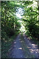 Track through Sheerhatch Wood in SG18 9AP