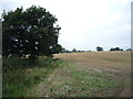 Stubble field, Nobut in ST10 4QH