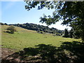 Fields and Woodland near Cadeby in Cadeby