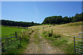 Farm track near Lower Kilcott in Hillesley and Tresham