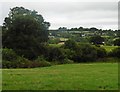 Farmland, east of Chardleigh Green in Wadeford