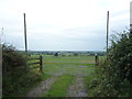 Field entrance off Fauld Lane in DE13 9JW