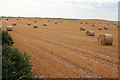 Field near Tyrie Mains in AB43 7BY