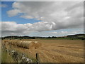 Round bales in field near Templelands in DD3 0PS