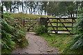 Gate on path above Froggatt Edge in S32 3ZJ