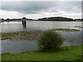 Waulkmill Glen Reservoir in G77 6WN
