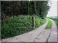 Track beside wood to Warren Barn in NR28 0QL