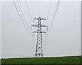 Pylon near to Hindle Top Farm in Melton District (B)
