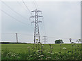 Pylons near to Hindle Top Farm in Melton District (B)