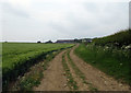 Track towards Hindle Top Farm in Melton District (B)
