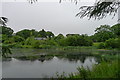 Small lake at Matson Ground in LA23 2NJ