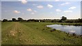 Flood pond beside River Ouse in YO8 5JZ