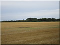 Stubble field at Sudbrooke in LN3 5BS