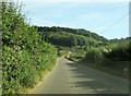 Road  toward  Symonds  Yat  East in HR9 6JN