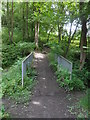 Footbridge over un-named stream, Chopwell Wood in NE17 7EL