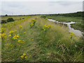 Footpath along the sea wall, Canvey Island in SS7 5DE