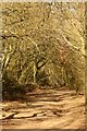 A bridleway in Shotover Country Park in OX3 8TA