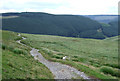 Drovers' Road, and Forestry on Bryn Mawr, Ceredigion in SY25 6NP