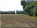 Ploughed field in NN7 1LA