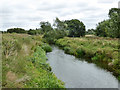 Relief channel, River Nene in NN4 8JU