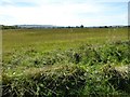 Flat farmland in the Vale of Evesham in WR11 7RL