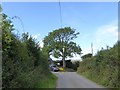 Tree at the road fork at Pool Hill in TA21 0LH
