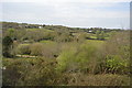 Cornish scenery in TR3 6DP
