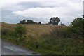 Ruin off Whinny Bank in Coxwold