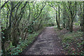 Track through Eggerslack Wood in LA11 6EX