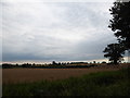 Farmland adjacent to All Saints, Filby in Filby