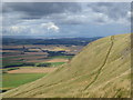 Steep track on Lomond Hills escarpment in KY13 9JW