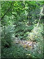 The wooded gorge of Hareshaw Burn in NE48 2DT