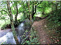 Llwybr Merlin's Brook / Merlin's Brook Path in SA61 1LN