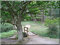 Footbridge, Perrywood Ironshill Inclosure in SO42 7QN