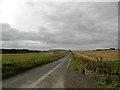 Minor road near Pitpointie Farm in DD3 0PS
