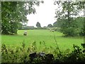 Bales in a field, east of Rise End in DE4 4NX