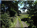 Footpath and Track towards Edmondbyers in DH8 9NQ